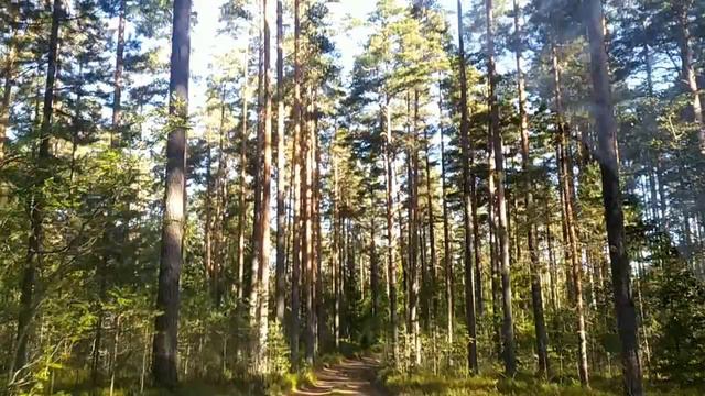 Не знаю как быть.Подводник пишет,хочет встреться.Потом. смотреть онлайн