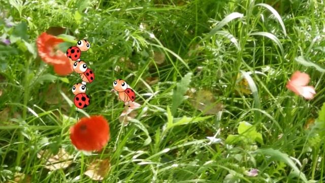 Полевые цветы студия ProshowFilmProduction смотреть онлайн