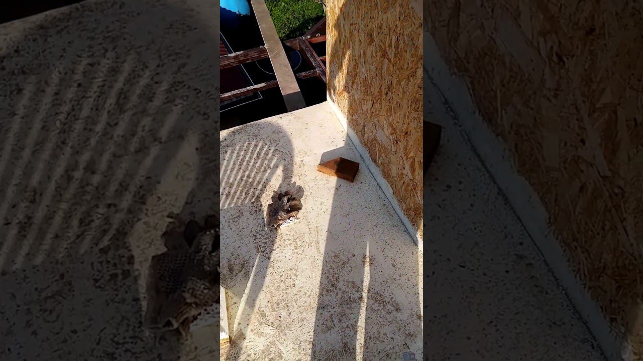 Гидроизоляция сип панелей . Жидкая резина для гидроизоляции Адгезика отзывы . смотреть онлайн