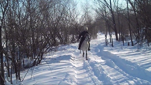 Дайте коня мне, да добрый меч! Масленица.Биробиджан 2016 смотреть онлайн