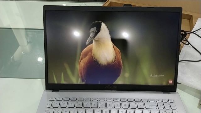 Asus X509JB-EJ591T - i5 10th Generation | Unboxing & Review - Best Under 50,000rs? [Hindi] смотреть онлайн