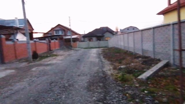 Бедоси продолжаются - у Ночки загноилась рана, а у Мавра новые расчесы. Я с ними чекнусь!!! смотреть онлайн