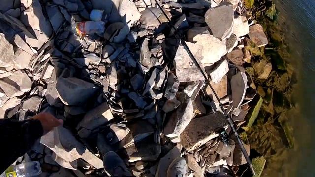 ВОТ ЭТО Я СХОДИЛ НА РЫБАЛКУ! Рыбалка на закидушки! смотреть онлайн