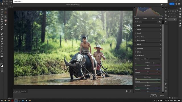 Adobe Camera RAW 2022 14.5 | Calibration Panel | Part 8 смотреть онлайн
