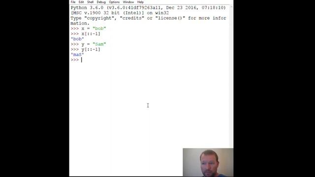 Python Basics String Palindrome смотреть онлайн