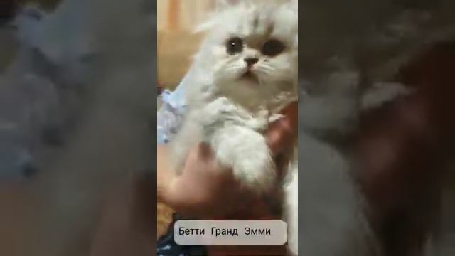 Бетти Гранд Эмми.                              1 февраля 2021 г.