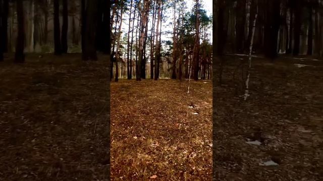 Как это здорово - весна! Читаю стихи своего сына Аркадия Башкова. #поэзия #стихи #чтец #воронеж смотреть онлайн