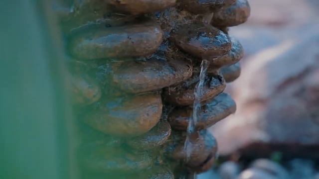 Navroz Bayram Musiqasi Vodiyda