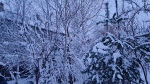 Перестановка в квартире. Зимние хлопоты в частном доме. Печки лавочки VLOG