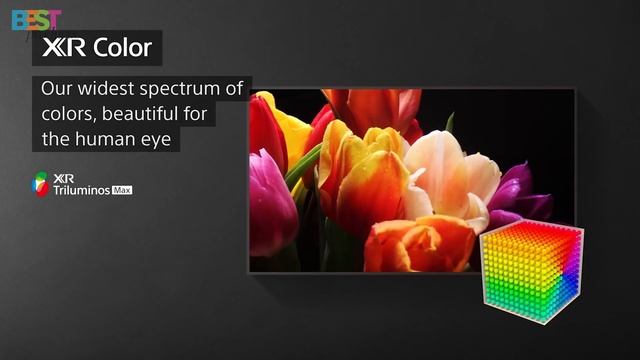 Top 5 Best TVs for PS5 in 2024 (4K, 120Hz, HDR, NO REGRETS!) смотреть онлайн