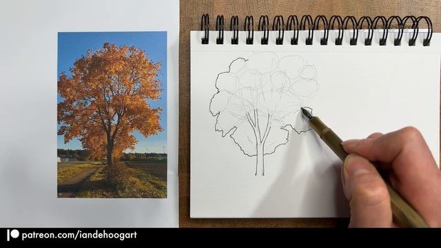 How to sketch a tree смотреть онлайн