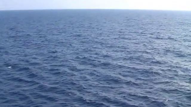 JOB AT SEA смотреть онлайн