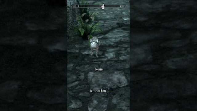 My Courier Is A CAT! - Khajiit Overhaul Mod - Skyrim Elder Scrolls 🖤