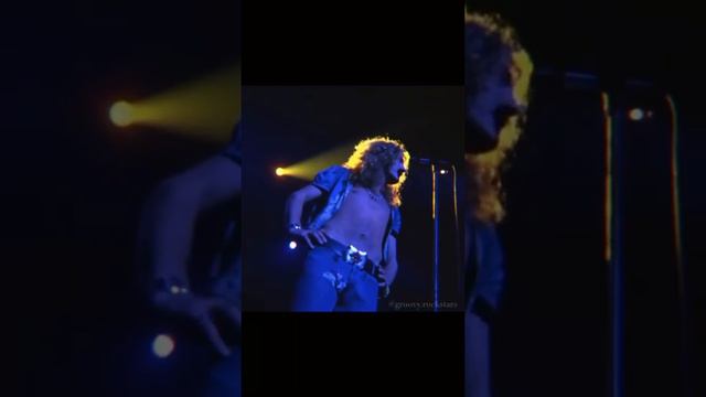 No one will ever be cooler than Robert Plant during Led Zeppelin’s performance at MSG in 1973. смотреть онлайн