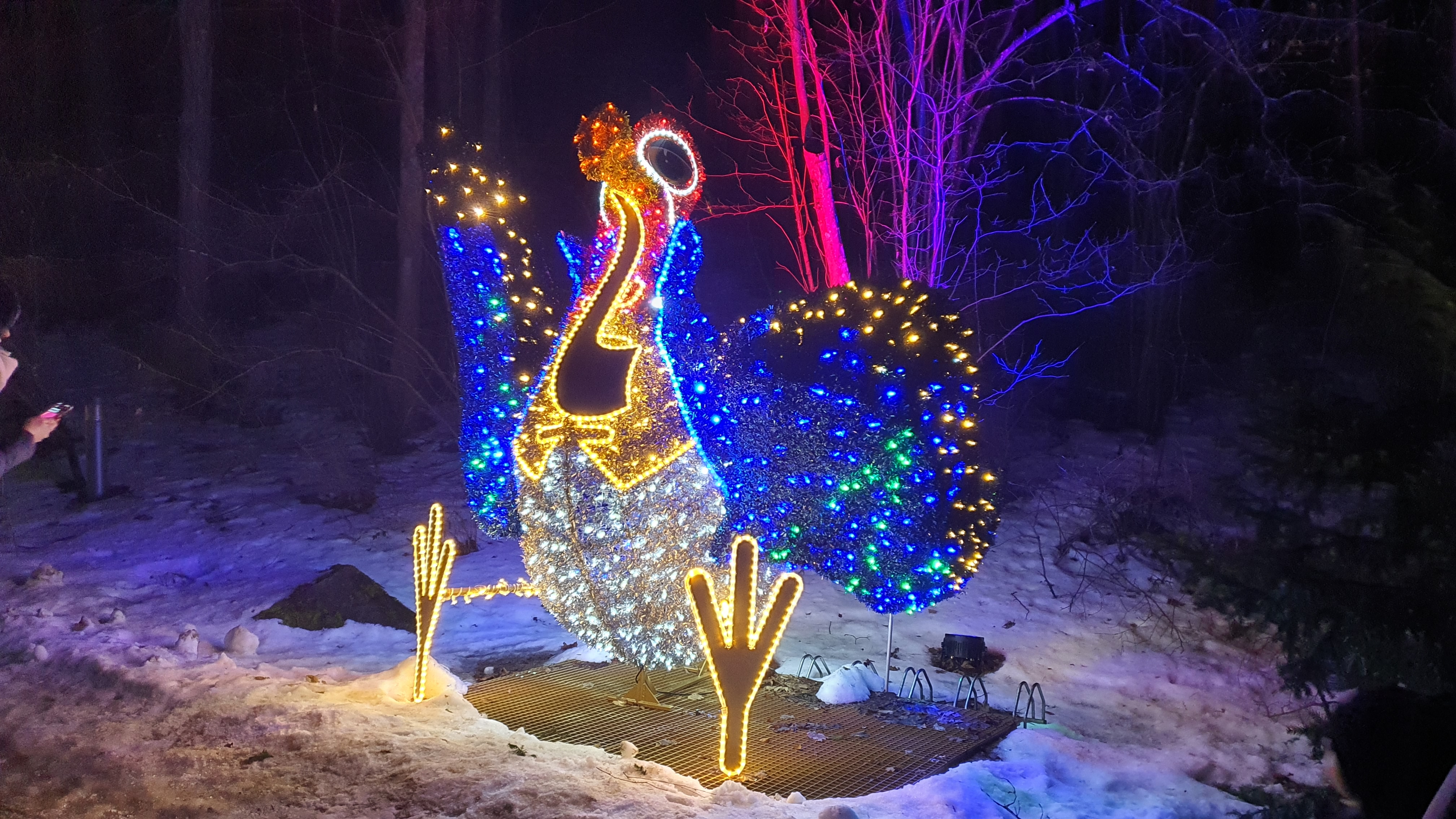 2024.02.14 Световое шоу в Ботаническом саду