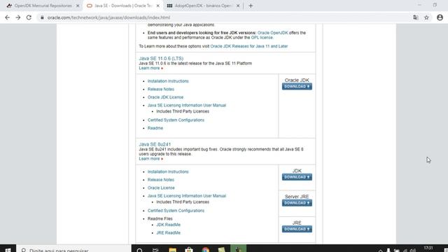 ☕️ Curso de Java para iniciantes - Oracle JDK ou OpenJDK ? - Instalação do JDK - aula 2 смотреть онлайн
