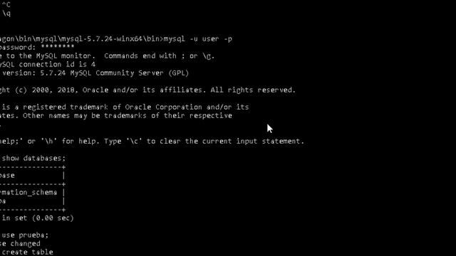 Comandos basicos Maria DB en Windows смотреть онлайн