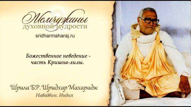 Божественное неведение часть Кришна лилы
