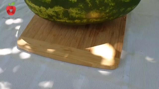Kako prepoznati savršeno zrelu lubenicu ?? смотреть онлайн