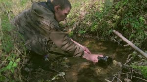 НА ПЕСНЮ "ТАЕЖНАЯ" от МАЭСТРО. Небольшой клип.