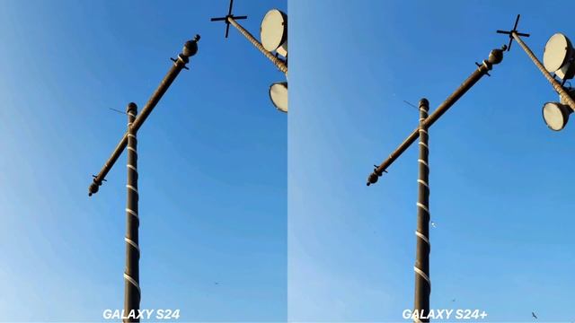Samsung Galaxy S24 VS Galaxy S24 Plus Camera Test Comparison