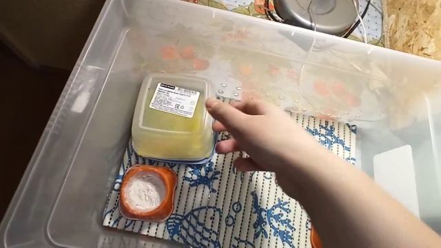 заселение эублефара