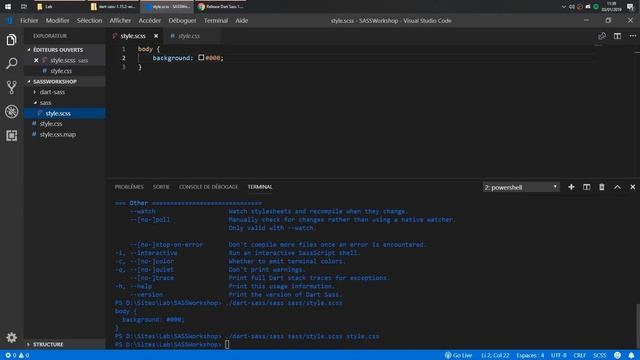 Le préprocesseur SASS (2/11) : Installation de SASS смотреть онлайн
