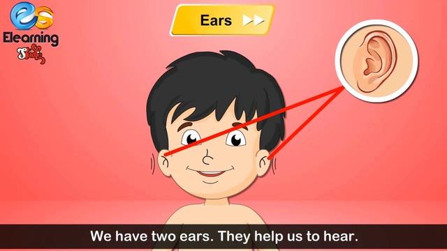 My Body Parts and Sense Organs | parts of the body | Learn English for kids | educational video смотреть онлайн