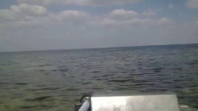 Ковчежек 7