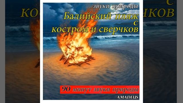 Балийский пляж с костром и сверчков: звуки природы (90 минут звуки природы) смотреть онлайн