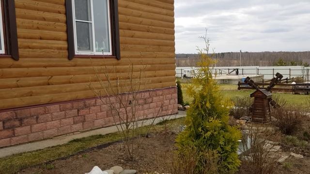 Композиция в ЖЁЛТОЙ ГАММЕ: большие ПЕРЕСАДКИ в саду. Ч.2. смотреть онлайн