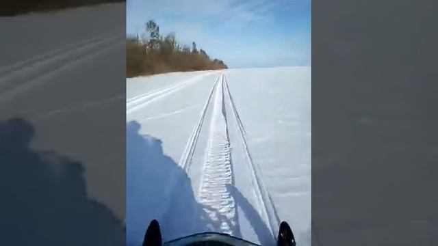 Первый выезд 2020. Снегоход, стелс, новинка, капитан