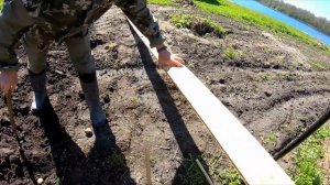 Сажаем картошку под лопату. Опыт посадки картофеля под мульчу и солому