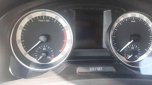 Сброс (обнуление) счетчика ТО шкода рапид 2018. смотреть онлайн
