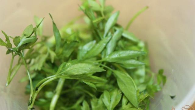 Книга рецептов