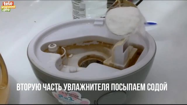 Как почистить увлажнитель воздуха смотреть онлайн