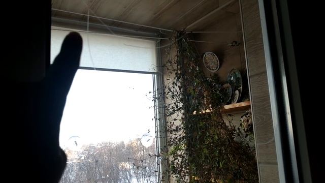 Как украсить окно на Новый год? Новогодний декор. За 15 минут. Лучше снежинок и наклеек. Зима 2022 смотреть онлайн