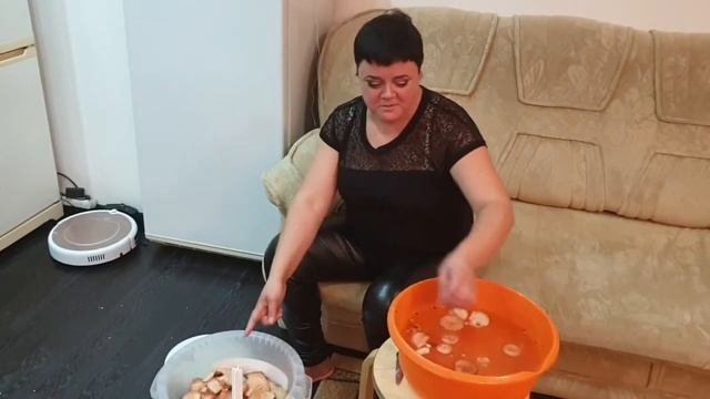 ПОХОД ЗА ГРИБАМИ.Сушим и маринуем на зиму#сушить грибы#мариновать грибы#поход за грибами# смотреть онлайн