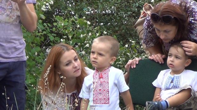 Гра на скрипці смотреть онлайн