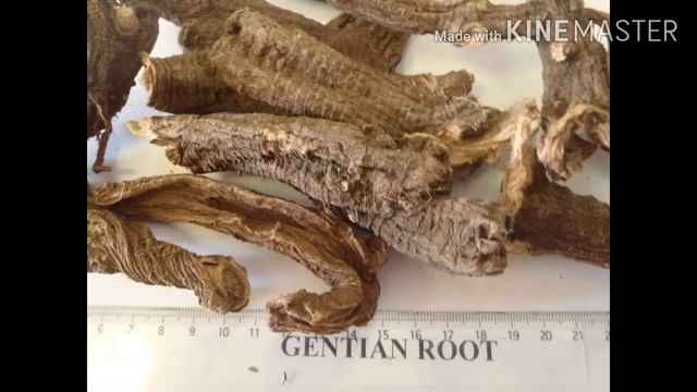 Gentiana Lutea, The Great Yellow Gentian, Explain In Detail Including All Pharmacological Propertie