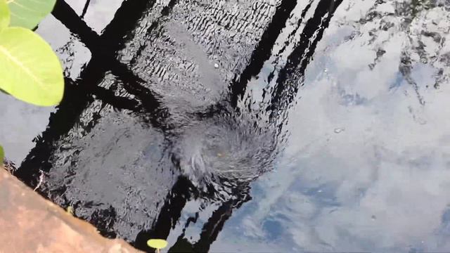 Водоворот смотреть онлайн