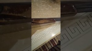 Приобрел Тоз 34/28