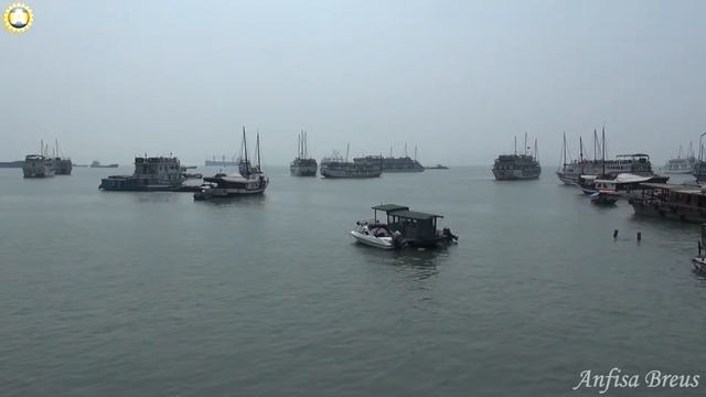 freelancelifestyle ru Vietnam 117 2 Bai To Long смотреть онлайн