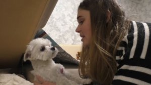 Экстремальные ПРЯТКИ от ЗОМБИ в нашем доме