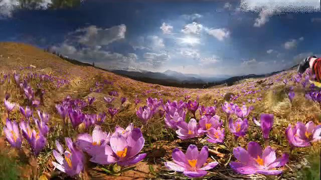 Олександр Олесь смотреть онлайн