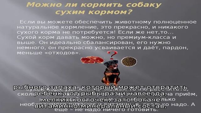 С какого возраста и какую рыбу можно давать рыбу ребенку? смотреть онлайн