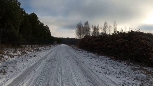 Прогулки по лесу | Лесной кустарник на щепу (продолжение) смотреть онлайн