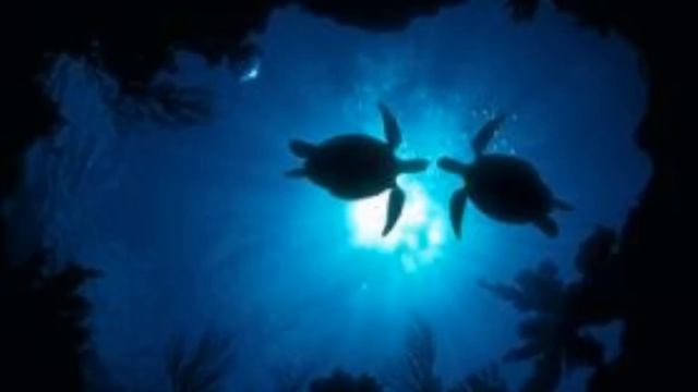 alfonsina y el mar (jose carreras) inedito смотреть онлайн