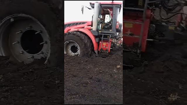 Засадили к744 смотреть онлайн