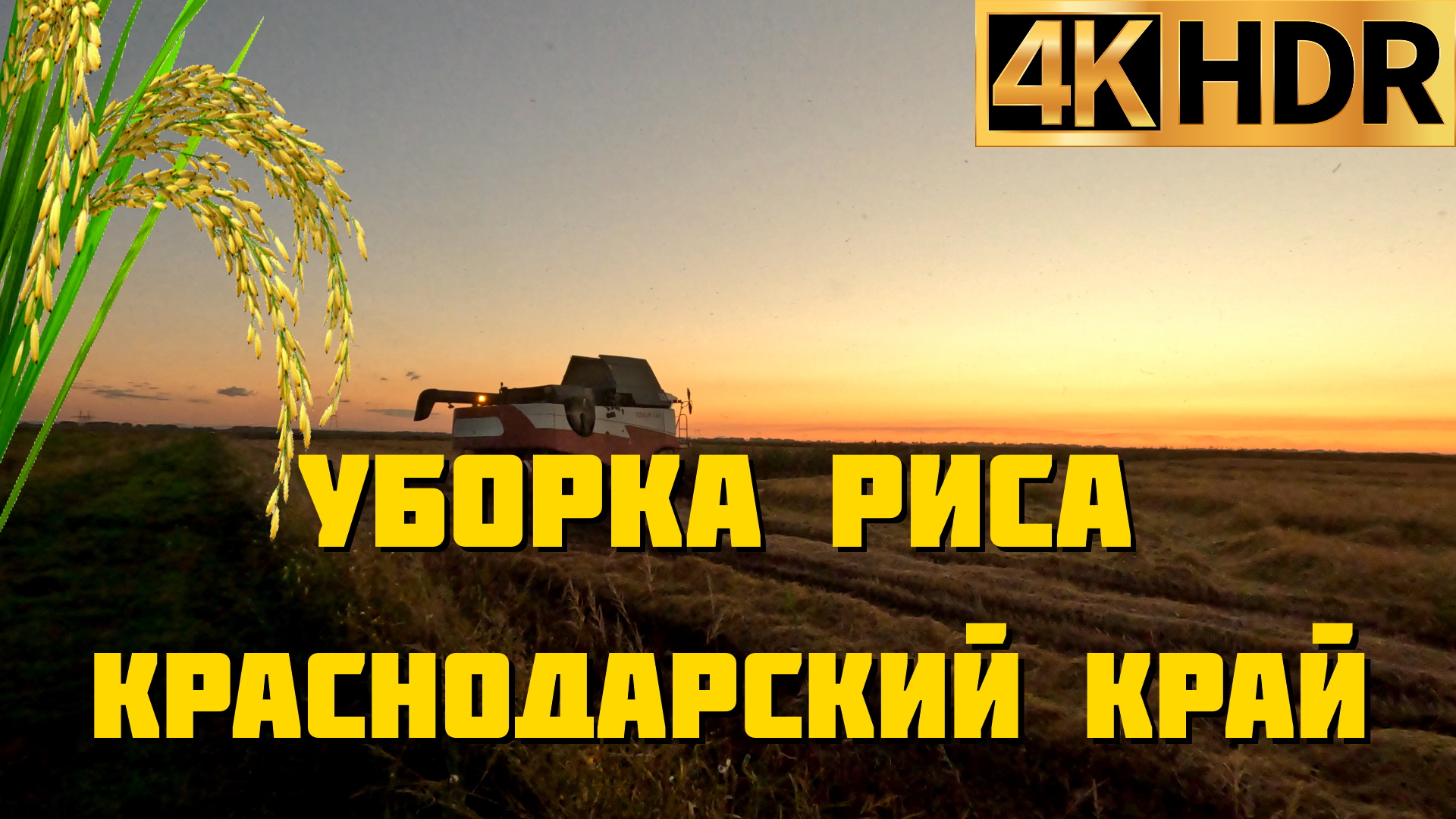 Уборка риса в Краснодарском крае смотреть онлайн